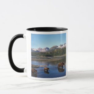Taza Oso pardo, oso grizzly, osa y crías en