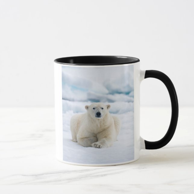 Taza Oso polar adulto en la manada de hielo de verano (Derecha)