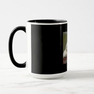 Taza OsoPolar20150501