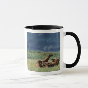 Taza Osos pardos en juego, Ursus arctos, Alaska