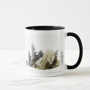 Taza Osos polares en el parque nacional de Wapusk