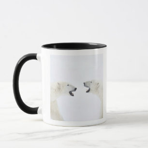 Taza Osos polares que se colocan en nieve después de