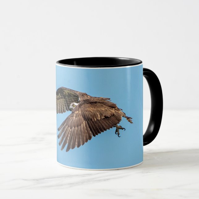 Taza Osprey en vuelo en el Parque Estatal de la Isla de (Anverso derecho)