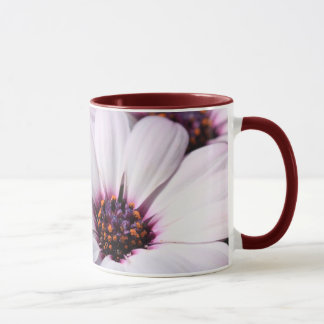 Taza Osteospermum
