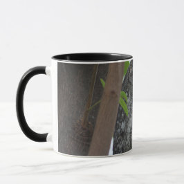 Taza Oveja africana durmiendo en un árbol