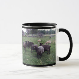 Taza Oveja negra