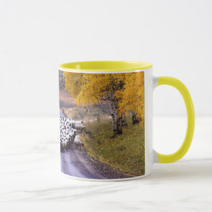 Taza Ovejas en la carretera nacional
