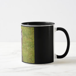 Taza Owl Mug