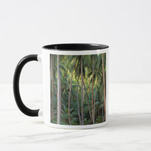Taza Pacífico Sur, Polinesia Francesa, Bora Bora.
