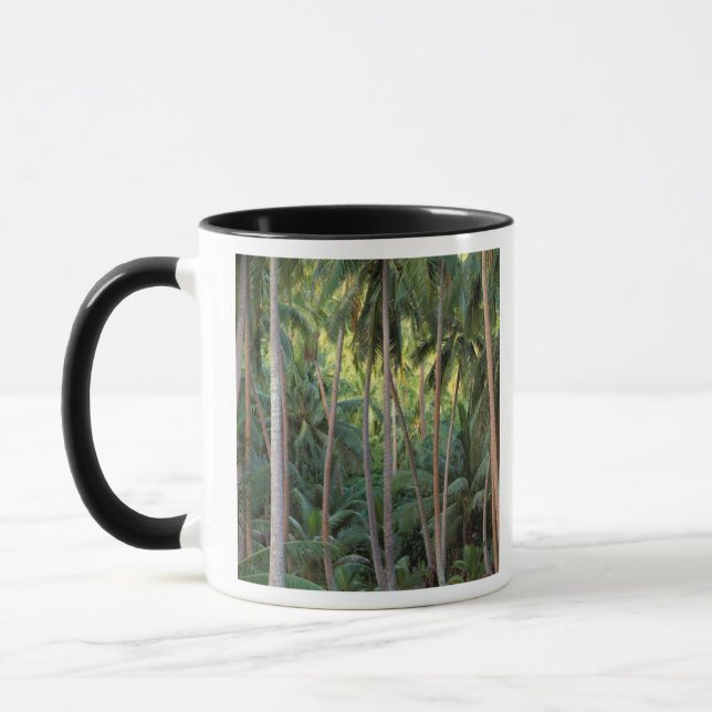 Taza Pacífico Sur, Polinesia Francesa, Bora Bora. (Izquierda)