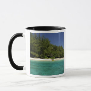 Taza Pacífico Sur, Polinesia Francesa, Moorea