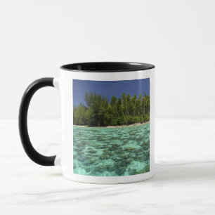 Taza Pacífico Sur, Polinesia Francesa, Moorea 3