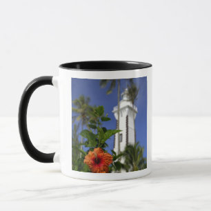 Taza Pacífico Sur, Polinesia Francesa, Tahití.Hibiscus