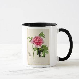 Taza Paeonia Moutan, c.1799