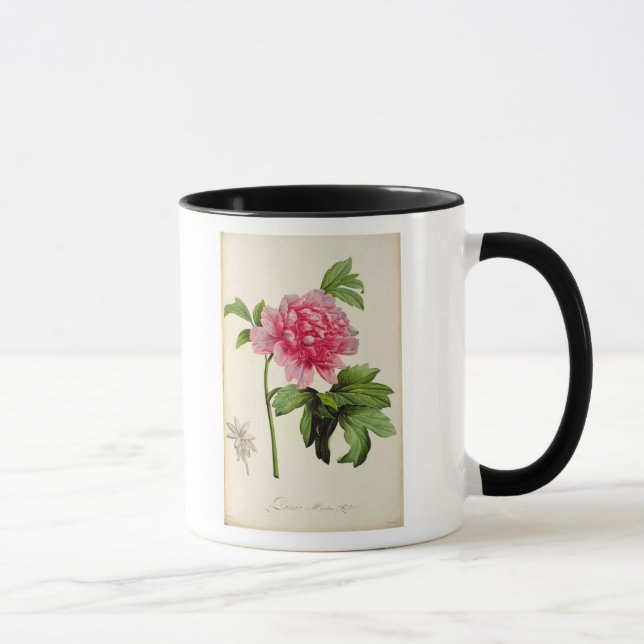 Taza Paeonia Moutan, c.1799 (Derecha)