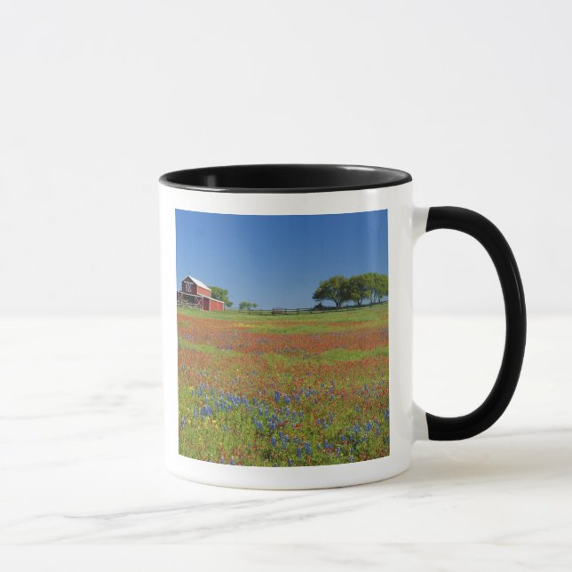 Taza País de la colina de Tejas, Tejas, brocha de Tejas (Derecha)