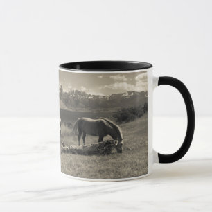 Taza Paisaje con caballos