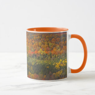 TAZA "PAISAJE DE OTOÑO" VALLE DE ÁRBOLES CONVERTIDOS EN