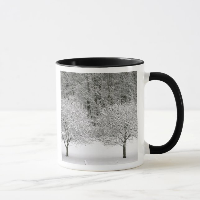 Taza Paisaje nevado (Derecha)