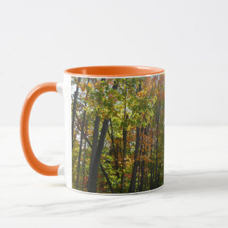 Taza Paisaje otoñal del bosque de otoño iluminado por e