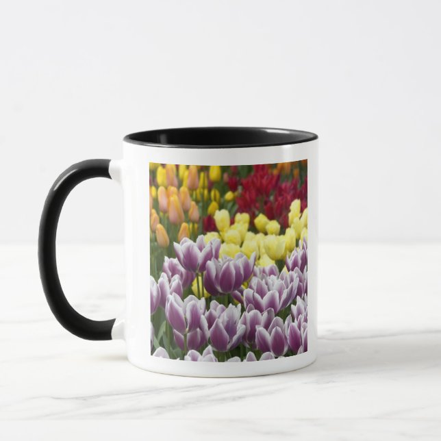 Taza Países Bajos (Holanda), Lisse. Keukenhof 3 (Izquierda)