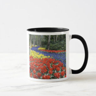 Taza Países Bajos, Holanda, Lisse, Keukenhof Gardens