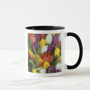 Taza Países Bajos, Holanda Meridional, Ámsterdam