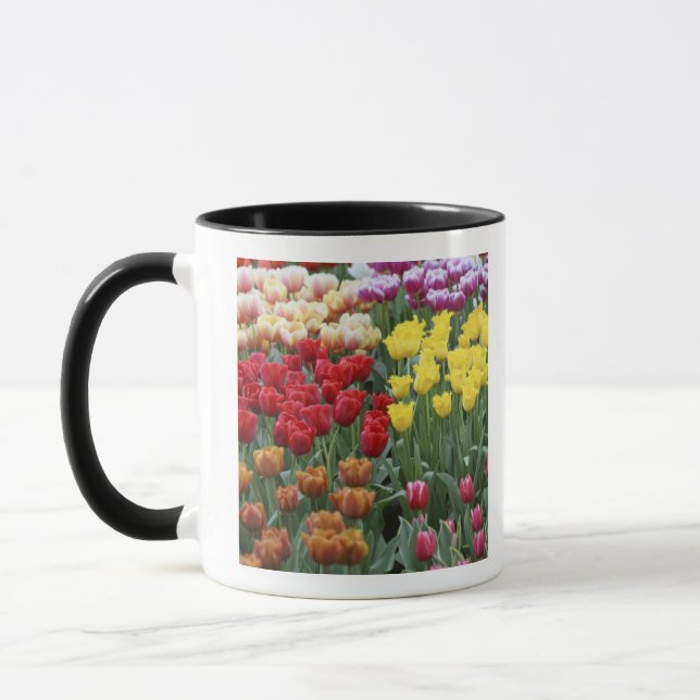 Taza Países Bajos, Jardines Keukenhoff, tulipanes. (Izquierda)