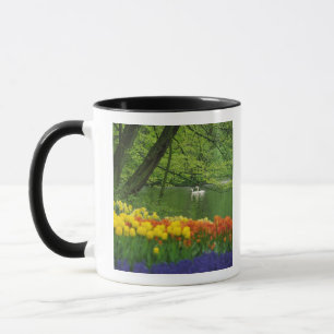 Taza Países Bajos, Lisse. Cisnes blancos en estanque en