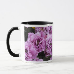 Taza Países Bajos (también conocido como Holanda), Liss