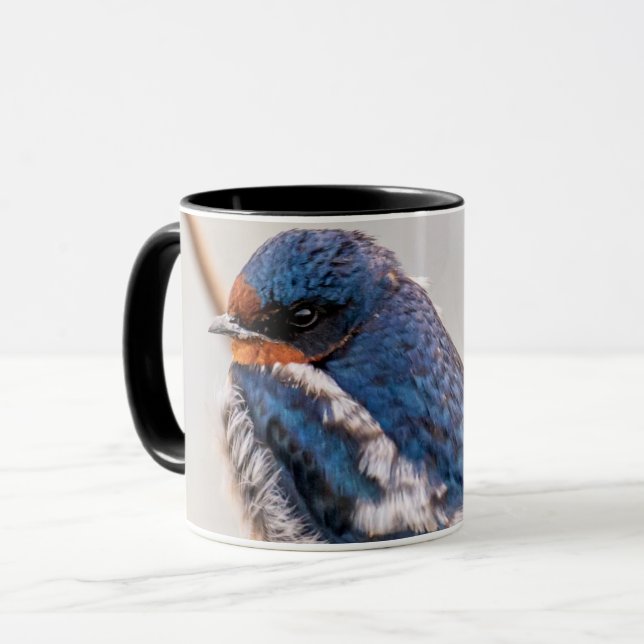 Taza Pájaro azul, barbecho de barn (Anverso izquierdo)