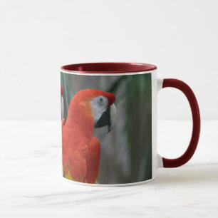 Taza Pájaro bonito