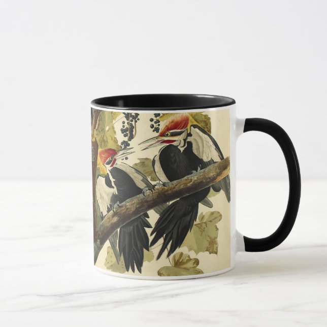 Taza Pájaro carpintero perpendicular, John James Audubo (Derecha)