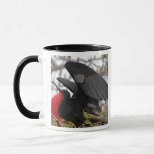 Taza Pájaro fragata magnífico