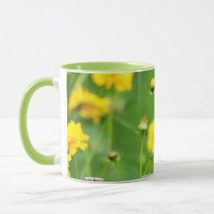 Taza Pájaro gato gris en cerca de madera