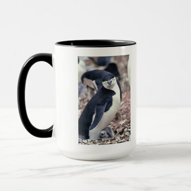 Taza Pájaro pingüino animal morado agua blanca negra (Izquierda)