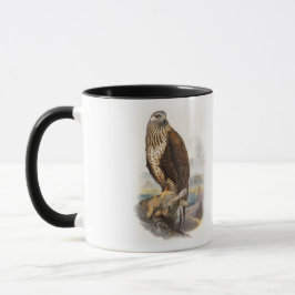 Taza pájaros Áspero-legged de Gould del halcón de Gran