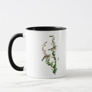 Taza pájaros Castaña-echados a un lado de Audubon de
