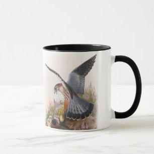 Taza Pájaros de Juan Gould del halcón de MERLIN de Gr