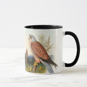 Taza Pájaros de Juan Gould del halcón del cernícalo 