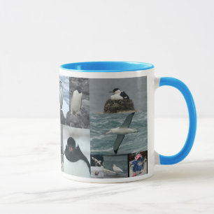 Taza Pájaros de la Antártida