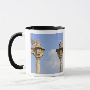 Taza Palacio de la Ciudad, Udaipur, Rajasthan, India 2