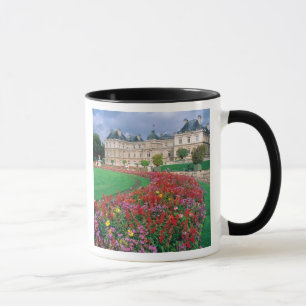 Taza Palacio de Luxemburgo en París, Francia.