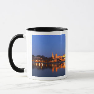 Taza Palacio del Papa en Aviñón y el río Ródano en