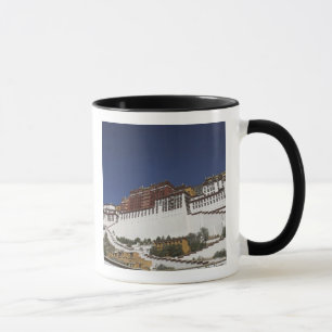 Taza Palacio Potala en Lhasa, Tíbet.