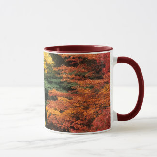 Taza Paleta del otoño