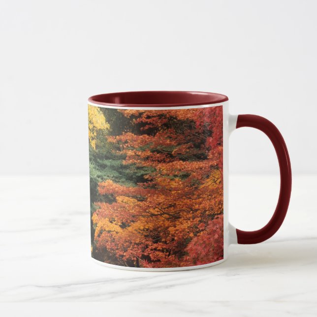 Taza Paleta del otoño (Derecha)