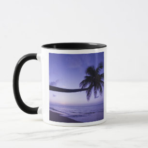 Taza Palmera solitaria al atardecer, playa Coconut Grov