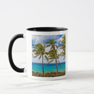 Taza Palmeras de coco (Cocos nucifera) que se mecen en