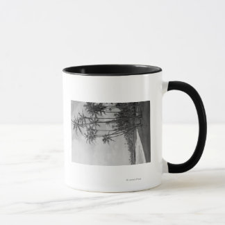 Taza Palmeras de coco - Islas Hawái Fotografía